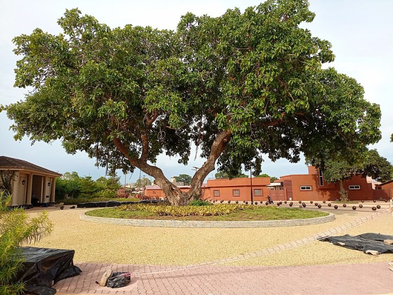 Les_lieux_touristiques_de_Ouidah,_place_Chacha